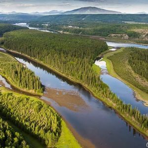 Meet your Posher, Kaylee